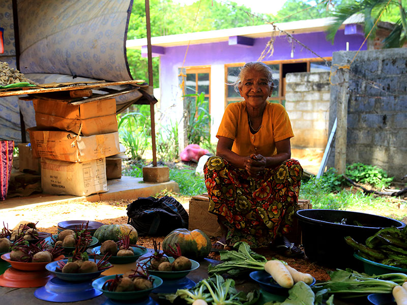 Tours in Sri Lanka, Tours to Sri Lanka, Sri Lanka Tour Packages, Sri Lanka Holidays, Holidays in Sri Lanka, Sri Lanka Beach Holidays