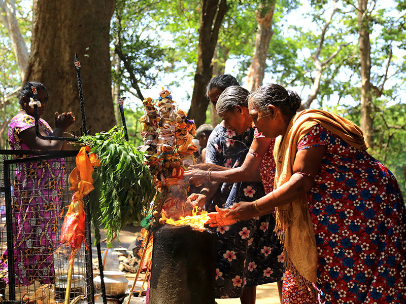 Tours in Sri Lanka, Tours to Sri Lanka, Sri Lanka Tour Packages, Sri Lanka Holidays, Holidays in Sri Lanka, Sri Lanka Beach Holidays