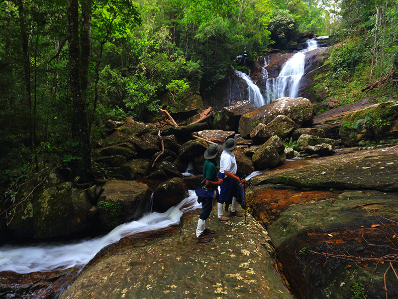 Tours in Sri Lanka, Tours to Sri Lanka, Sri Lanka Tour Packages, Sri Lanka Holidays, Holidays in Sri Lanka, Sri Lanka Beach Holidays