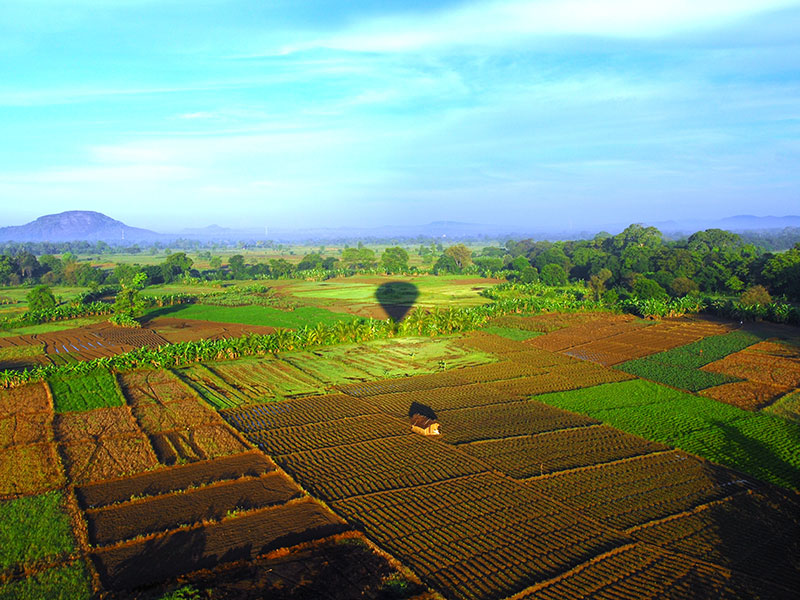 Tours in Sri Lanka, Tours to Sri Lanka, Sri Lanka Tour Packages, Sri Lanka Holidays, Holidays in Sri Lanka, Sri Lanka Beach Holidays
