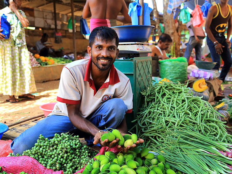 Tours in Sri Lanka, Tours to Sri Lanka, Sri Lanka Tour Packages, Sri Lanka Holidays, Holidays in Sri Lanka, Sri Lanka Beach Holidays