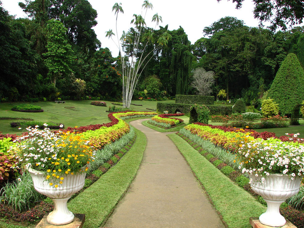 Attractions in Peradeniya - Top Things to do in Peradeniya - Peradeniya experiences - Best things to do in Peradeniya - Places to Visit in Peradeniya - Leisure places in Peradeniya