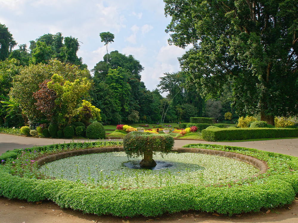 Attractions in Peradeniya - Top Things to do in Peradeniya - Peradeniya experiences - Best things to do in Peradeniya - Places to Visit in Peradeniya - Leisure places in Peradeniya