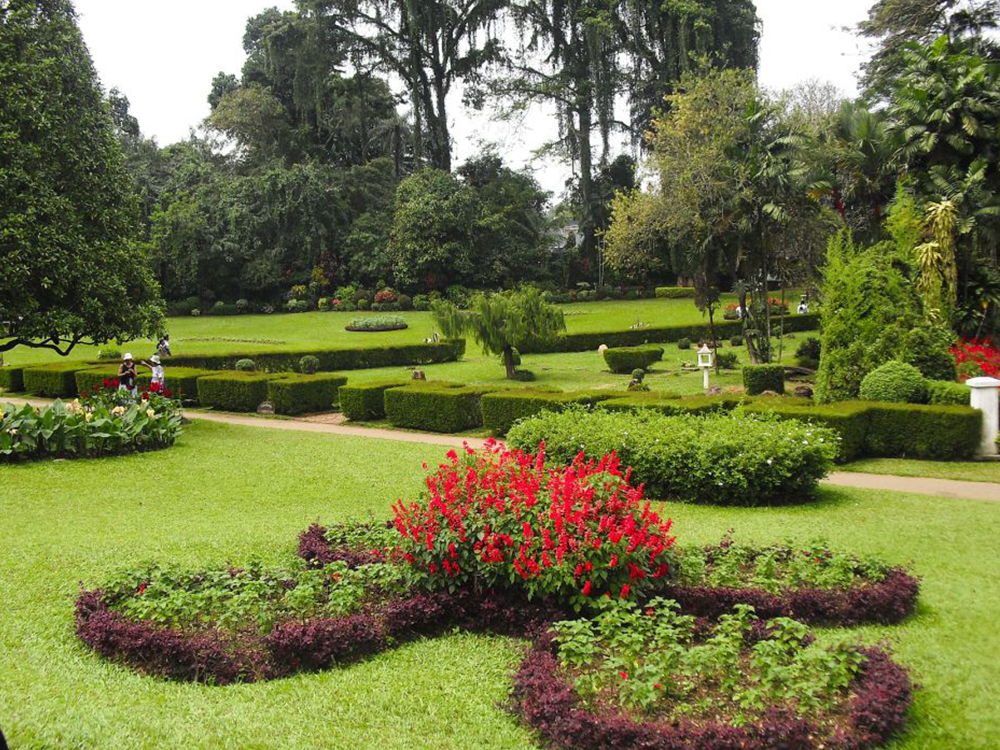 Attractions in Peradeniya - Top Things to do in Peradeniya - Peradeniya experiences - Best things to do in Peradeniya - Places to Visit in Peradeniya - Leisure places in Peradeniya