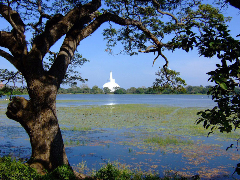 Tours in Sri Lanka, Tours to Sri Lanka, Sri Lanka Tour Packages, Sri Lanka Holidays, Holidays in Sri Lanka, Sri Lanka Beach Holidays