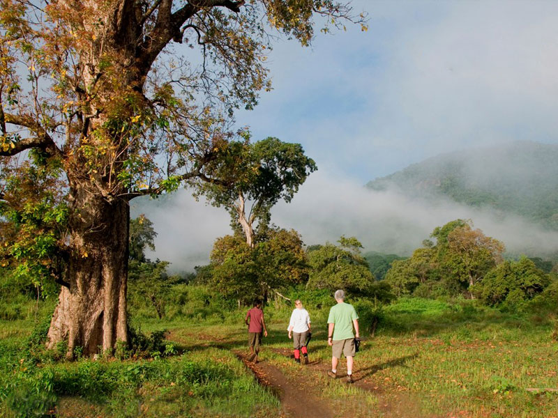 Tours in Sri Lanka, Tours to Sri Lanka, Sri Lanka Tour Packages, Sri Lanka Holidays, Holidays in Sri Lanka, Sri Lanka Beach Holidays