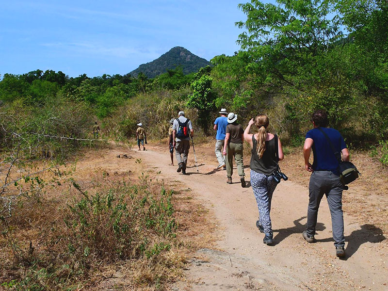 Tours in Sri Lanka, Tours to Sri Lanka, Sri Lanka Tour Packages, Sri Lanka Holidays, Holidays in Sri Lanka, Sri Lanka Beach Holidays