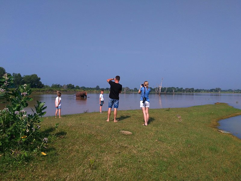 Tours in Sri Lanka, Tours to Sri Lanka, Sri Lanka Tour Packages, Sri Lanka Holidays, Holidays in Sri Lanka, Sri Lanka Beach Holidays