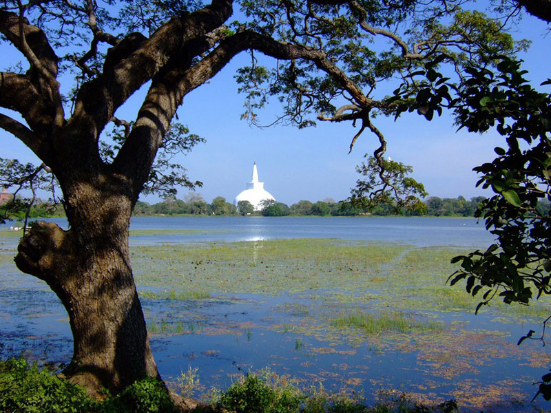 Sri Lanka Day Tours - Kandy Day Tours - Galle Day Tours - Sigiriya Day Tours - Kitulgala Day Tours