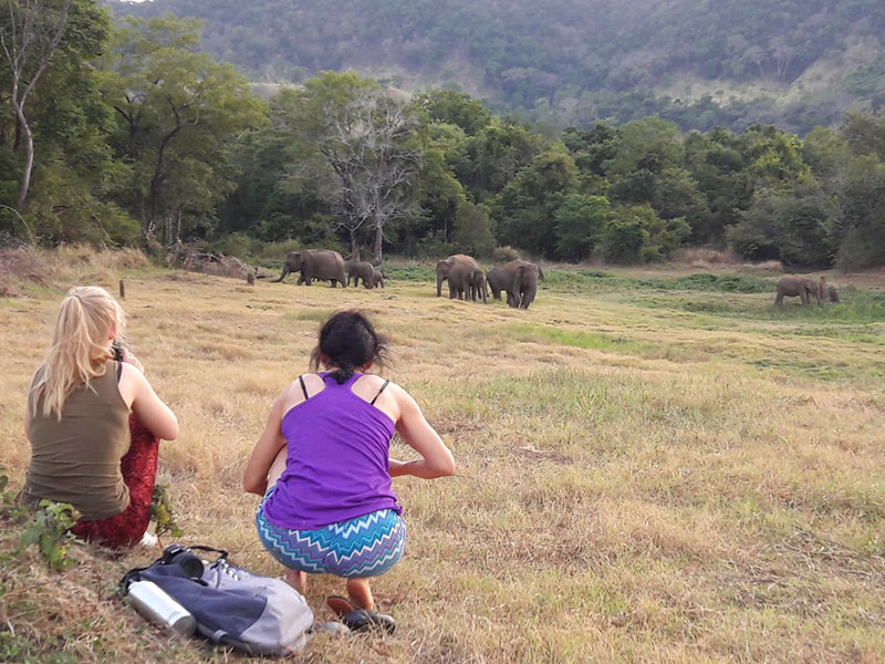 Best Things to do in Sri Lanka - Best Travel Experiences in Sri Lanka - Authentic Travel Experiences in Sri Lanka - Things to do in Sri Lanka