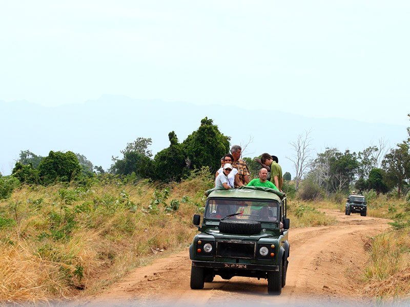 Tented Safari Camps in Udawalawe, Luxury Safari Camping in Udawalawe, Udawalawe Safari Camp, Udawalawe Safari Camping, Udawalawe Camping Safaris, Camping Tours in Udawalawe, Udawalawe Safari Camping Tours, Luxury Safari Camping Tours, Udawalawe Luxury Safari Camp, Udawalawe Camping