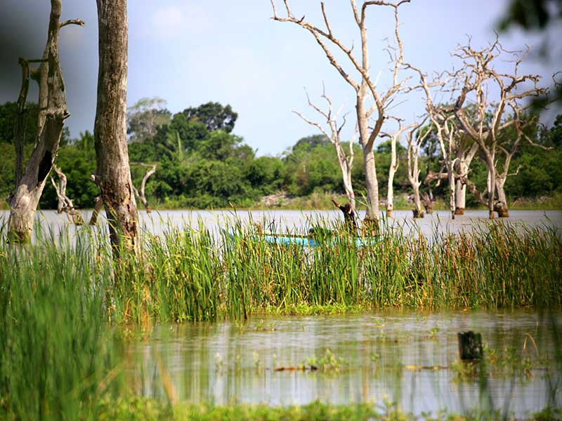 Farm Stay and Elephant watching in Sri Lanka, Rural Farm Stay in Sri Lanka, Sri Lanka Experiences, Wildlife experience Sri Lanka