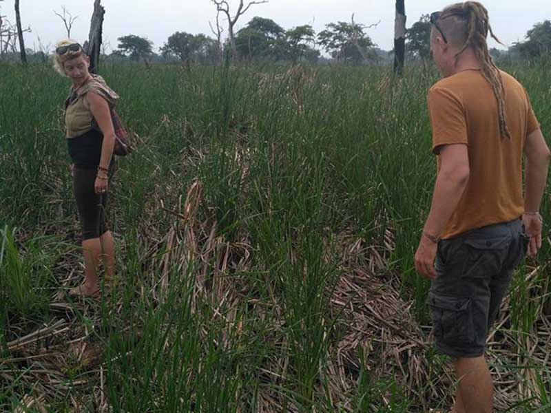 Farm Stay and Elephant watching in Sri Lanka, Rural Farm Stay in Sri Lanka, Sri Lanka Experiences, Wildlife experience Sri Lanka