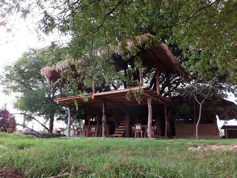Farm Stay and Elephant watching in Sri Lanka, Rural Farm Stay in Sri Lanka, Sri Lanka Experiences, Wildlife experience Sri Lanka