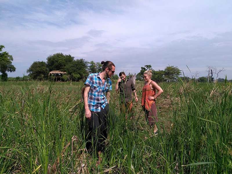 Farm Stay and Elephant watching in Sri Lanka, Rural Farm Stay in Sri Lanka, Sri Lanka Experiences, Wildlife experience Sri Lanka