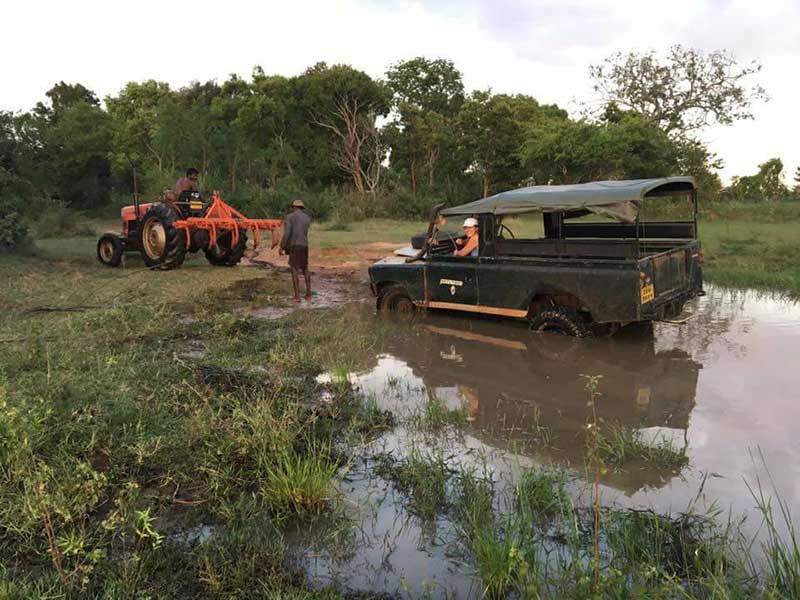 Farm Stay and Elephant watching in Sri Lanka, Rural Farm Stay in Sri Lanka, Sri Lanka Experiences, Wildlife experience Sri Lanka