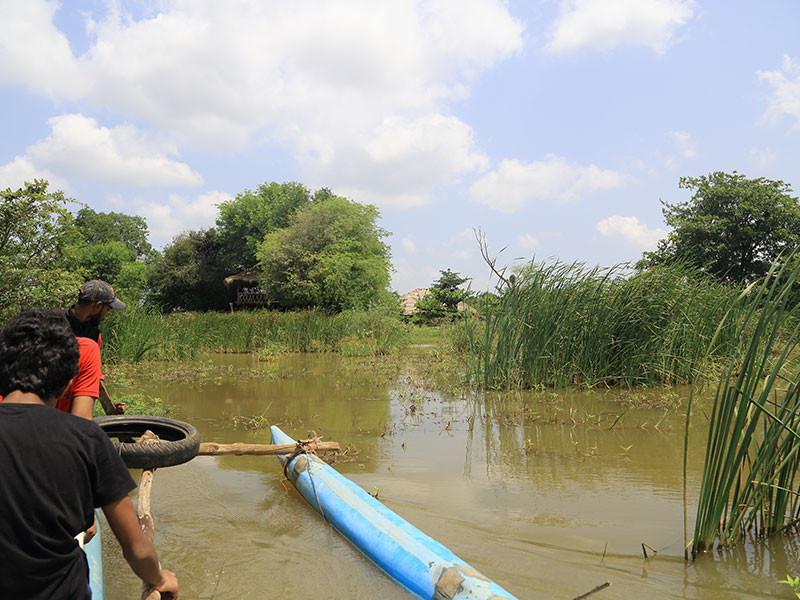 Farm Stay and Elephant watching in Sri Lanka, Rural Farm Stay in Sri Lanka, Sri Lanka Experiences, Wildlife experience Sri Lanka