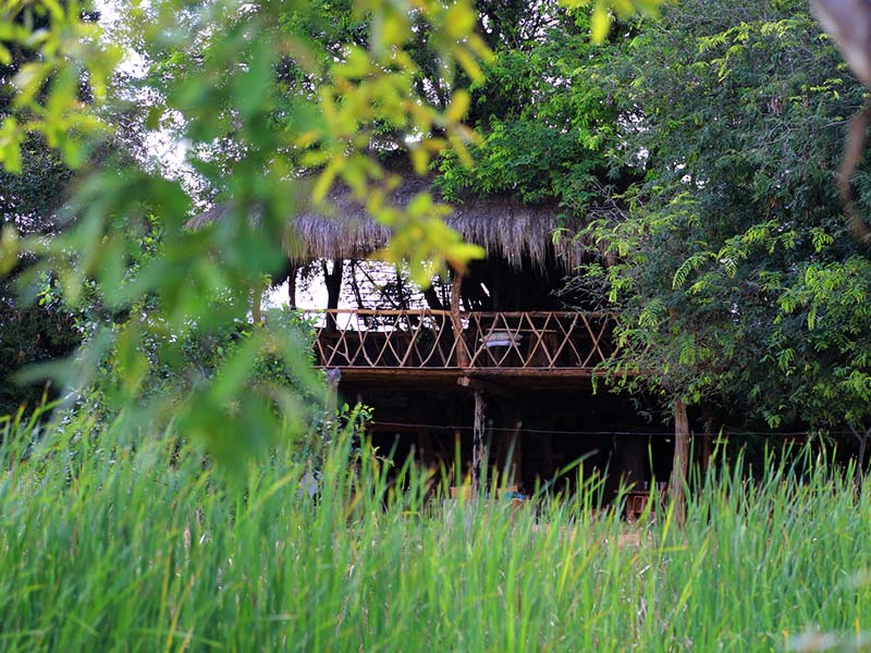 Farm Stay and Elephant watching in Sri Lanka, Rural Farm Stay in Sri Lanka, Sri Lanka Experiences, Wildlife experience Sri Lanka