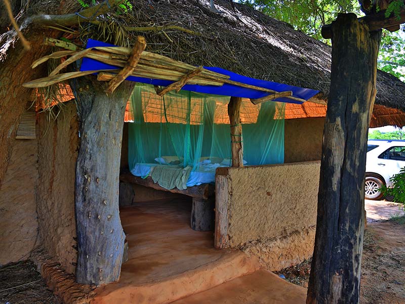 Farm Stay and Elephant watching in Sri Lanka, Rural Farm Stay in Sri Lanka, Sri Lanka Experiences, Wildlife experience Sri Lanka