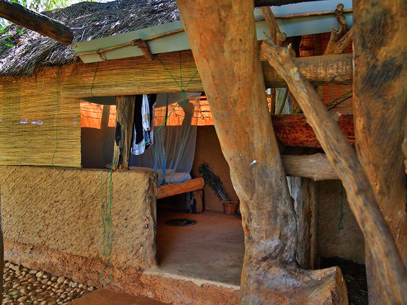 Farm Stay and Elephant watching in Sri Lanka, Rural Farm Stay in Sri Lanka, Sri Lanka Experiences, Wildlife experience Sri Lanka