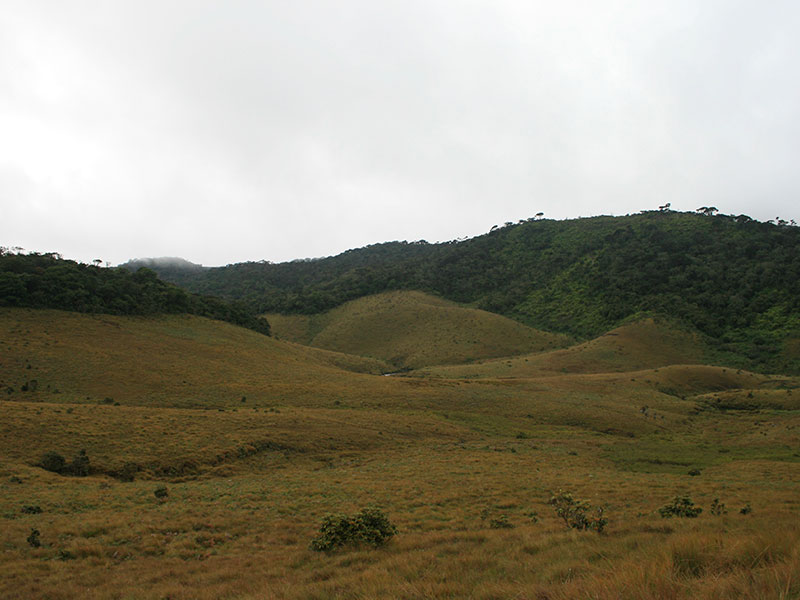 Trekking tours in Horton Plains - Ella Trekking Trips - Horton Plains Trekking Tours - Trekking Trips in Ella - Horton trekking tours - Sri Lanka Trekking Trips - Trekking Trips in Sri Lanka