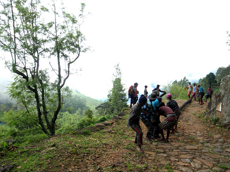 Trekking tours in Horton Plains - Ella Trekking Trips - Horton Plains Trekking Tours - Trekking Trips in Ella - Horton trekking tours - Sri Lanka Trekking Trips - Trekking Trips in Sri Lanka