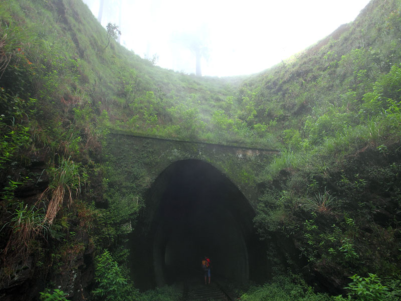 Trekking tours in Horton Plains - Ella Trekking Trips - Horton Plains Trekking Tours - Trekking Trips in Ella - Horton trekking tours - Sri Lanka Trekking Trips - Trekking Trips in Sri Lanka