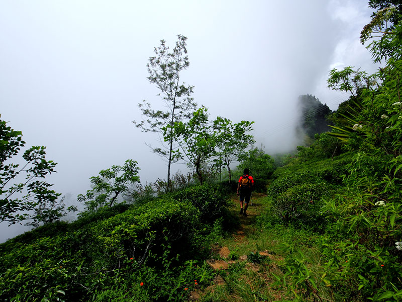 Trekking tours in Horton Plains - Ella Trekking Trips - Horton Plains Trekking Tours - Trekking Trips in Ella - Horton trekking tours - Sri Lanka Trekking Trips - Trekking Trips in Sri Lanka