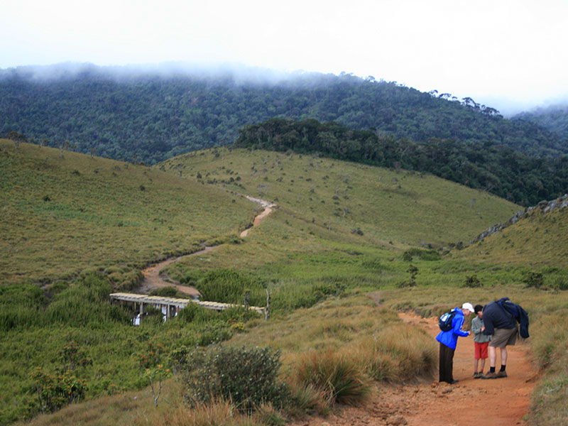 Trekking tours in Horton Plains - Ella Trekking Trips - Horton Plains Trekking Tours - Trekking Trips in Ella - Horton trekking tours - Sri Lanka Trekking Trips - Trekking Trips in Sri Lanka