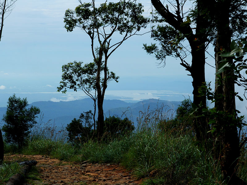 Trekking tours in Horton Plains - Ella Trekking Trips - Horton Plains Trekking Tours - Trekking Trips in Ella - Horton trekking tours - Sri Lanka Trekking Trips - Trekking Trips in Sri Lanka