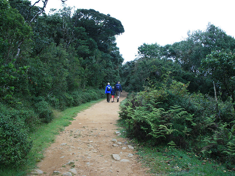 Trekking tours in Horton Plains - Ella Trekking Trips - Horton Plains Trekking Tours - Trekking Trips in Ella - Horton trekking tours - Sri Lanka Trekking Trips - Trekking Trips in Sri Lanka