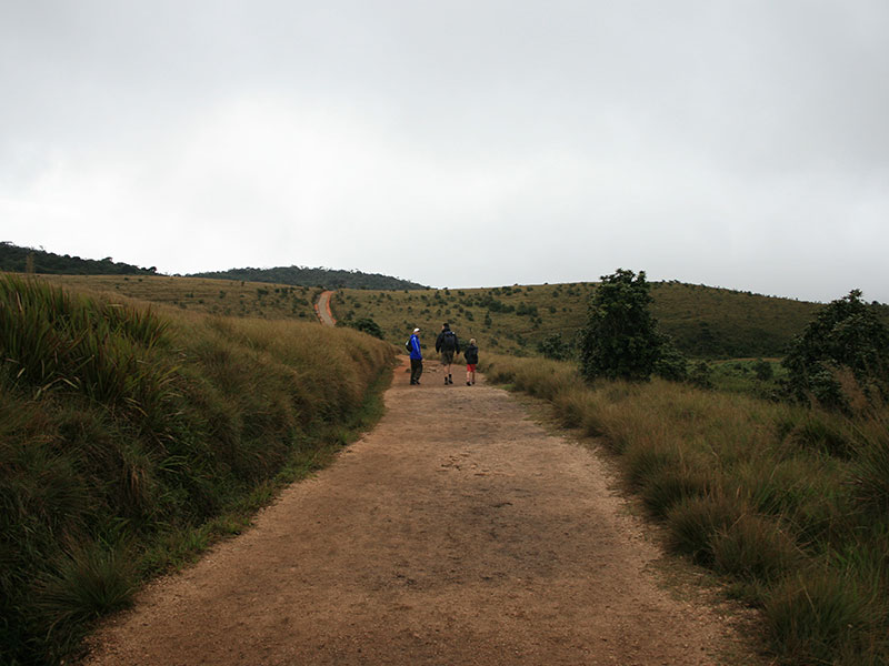 Trekking tours in Horton Plains - Ella Trekking Trips - Horton Plains Trekking Tours - Trekking Trips in Ella - Horton trekking tours - Sri Lanka Trekking Trips - Trekking Trips in Sri Lanka