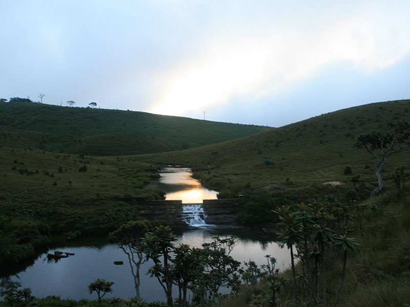 Trekking tours in Horton Plains - Ella Trekking Trips - Horton Plains Trekking Tours - Trekking Trips in Ella - Horton trekking tours - Sri Lanka Trekking Trips - Trekking Trips in Sri Lanka