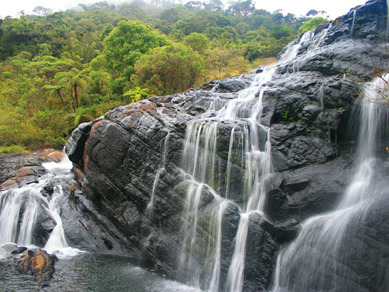 Trekking tours in Horton Plains - Ella Trekking Trips - Horton Plains Trekking Tours - Trekking Trips in Ella - Horton trekking tours - Sri Lanka Trekking Trips - Trekking Trips in Sri Lanka
