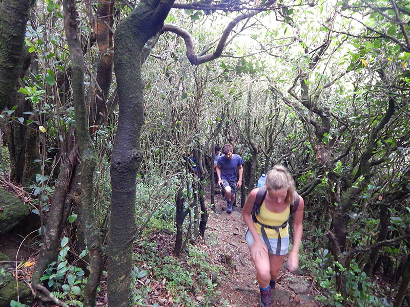 Trekking tours in Sri Lanka - Cycling Tours in Sri Lanka - Trekking and Cycling Tours Sri Lanka