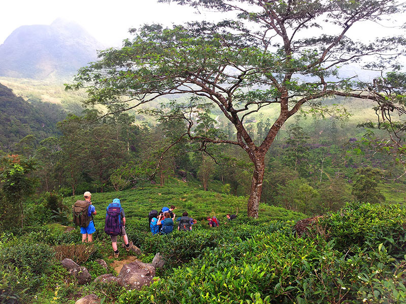 Trekking tours in Sri Lanka - Cycling Tours in Sri Lanka - Trekking and Cycling Tours Sri Lanka