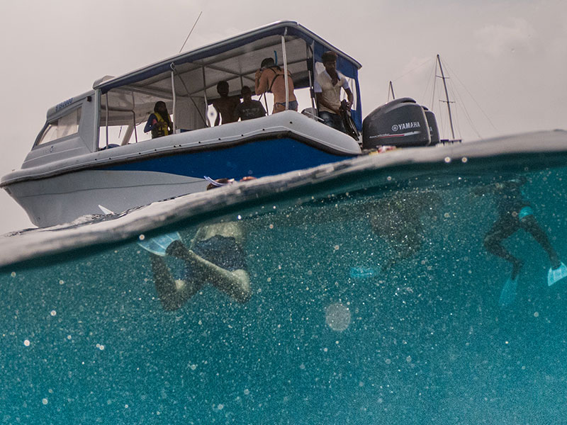 Diving Tours and Guided Diving Holidays in Maldives