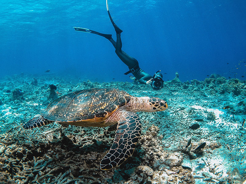 Maldives Island Adventure Tours