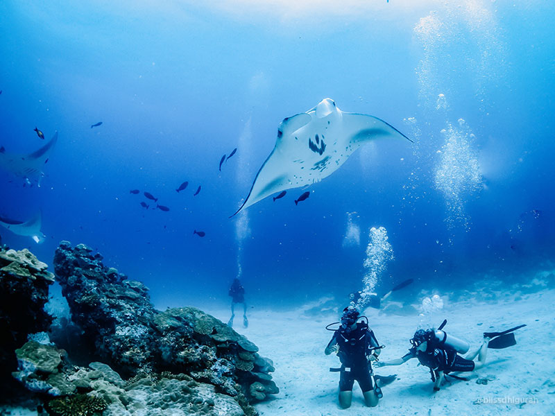 Maldives Island Adventure Tours
