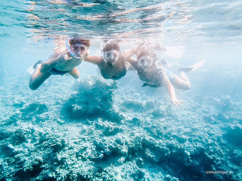 Diving Tours and Guided Diving Holidays in Maldives