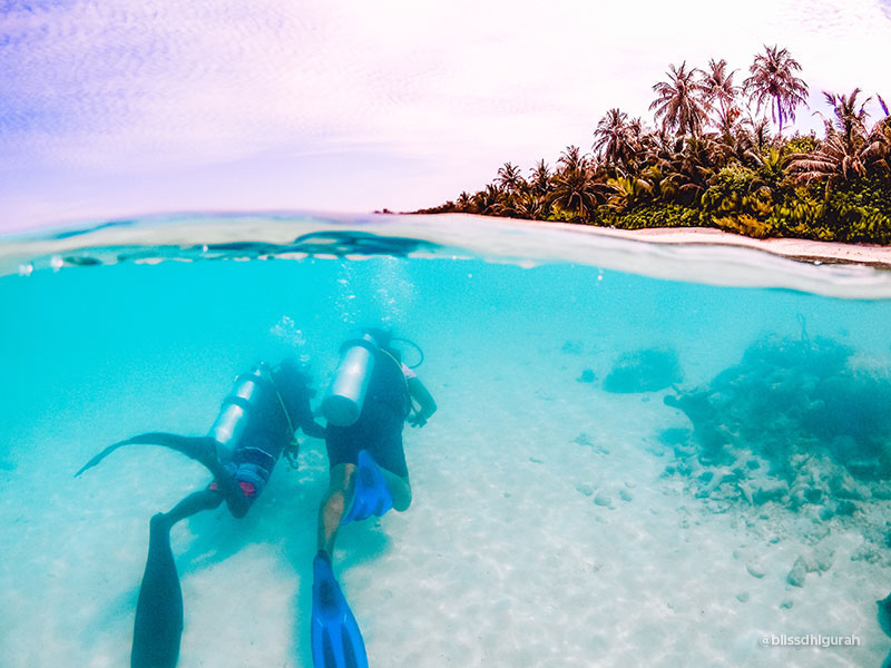 Diving Tours and Guided Diving Holidays in Maldives