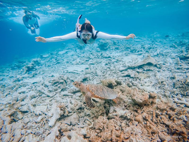Diving Tours and Guided Diving Holidays in Maldives