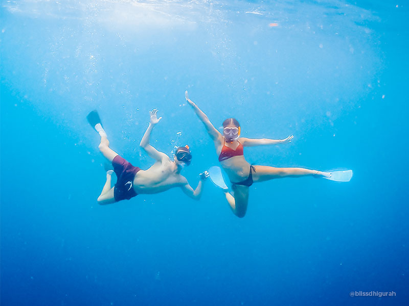 Diving Tours and Guided Diving Holidays in Maldives