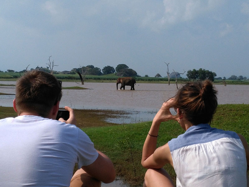Self Explorer Tours in Sri Lanka, Sri Lanka Tours on Your Own, Sri Lanka Self Explorer, Self Explorer in Sri Lanka, Self Explorer Holidays in Sri Lanka, Sri Lanka Tours and Holidays, Sri Lanka Holidays