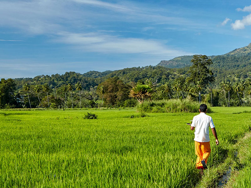 Self Explorer Tours in Sri Lanka, Sri Lanka Tours on Your Own, Sri Lanka Self Explorer, Self Explorer in Sri Lanka, Self Explorer Holidays in Sri Lanka, Sri Lanka Tours and Holidays, Sri Lanka Holidays