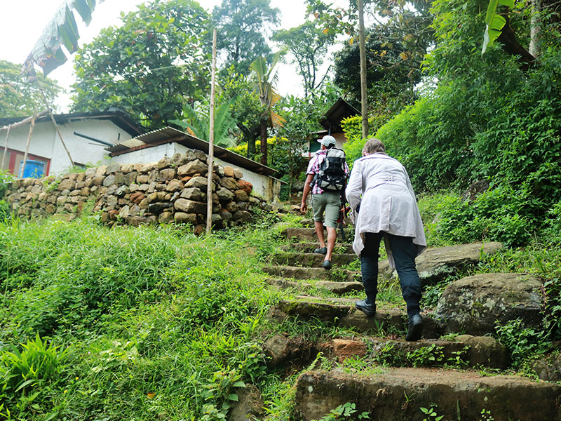 Self Explorer Tours in Sri Lanka, Sri Lanka Tours on Your Own, Sri Lanka Self Explorer, Self Explorer in Sri Lanka, Self Explorer Holidays in Sri Lanka, Sri Lanka Tours and Holidays, Sri Lanka Holidays