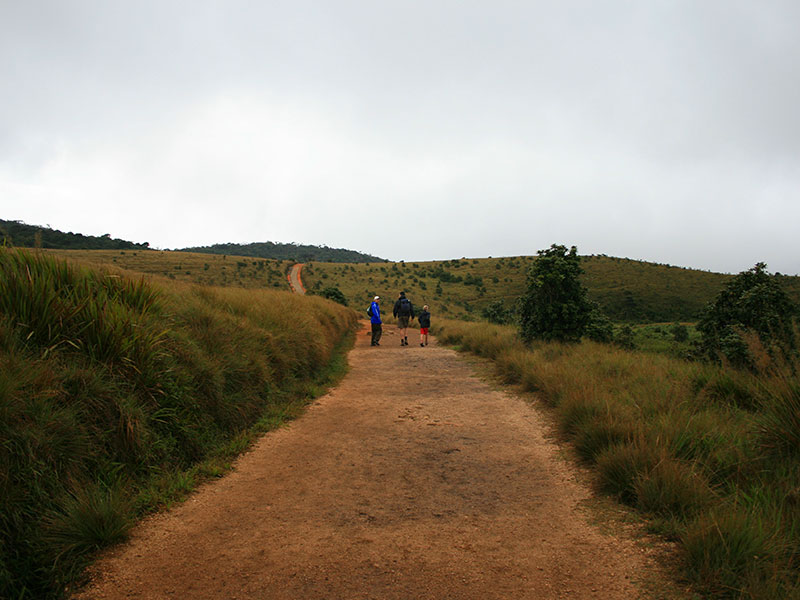 Self Explorer Tours in Sri Lanka, Sri Lanka Tours on Your Own, Sri Lanka Self Explorer, Self Explorer in Sri Lanka, Self Explorer Holidays in Sri Lanka, Sri Lanka Tours and Holidays, Sri Lanka Holidays