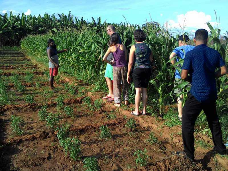 Self Explorer Tours in Sri Lanka, Sri Lanka Tours on Your Own, Sri Lanka Self Explorer, Self Explorer in Sri Lanka, Self Explorer Holidays in Sri Lanka, Sri Lanka Tours and Holidays, Sri Lanka Holidays
