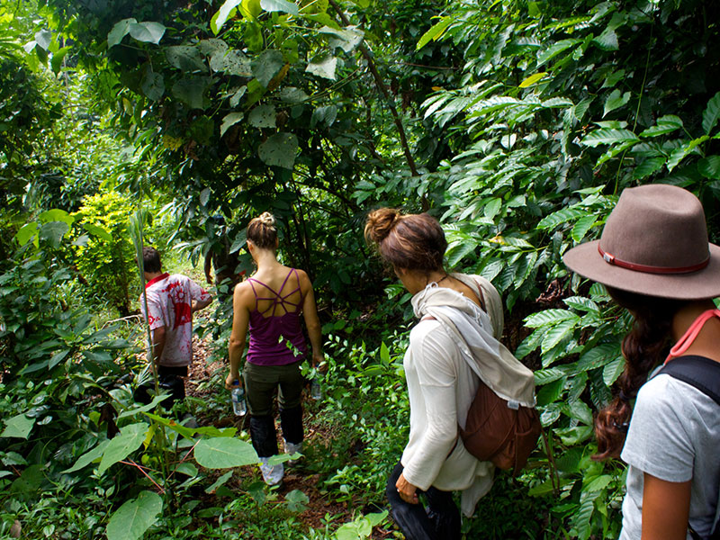 Tours in Sri Lanka