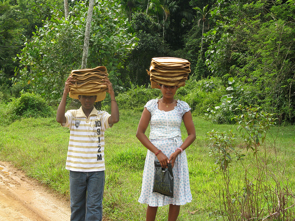 Trek through the Country Side  and scenic trekking tours in Sri Lanka - Trek through the Country Side  and trekking tours - Trekking Trips in bentota - Trek through the country side and Trekking Trips in Sri Lanka - Country Walk in Sri Lanka - Village Walk in Sri Lanka
